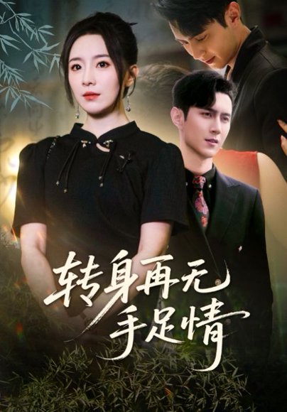 转身再无手足情（71集）希尔力&周弋茜 高清完整版