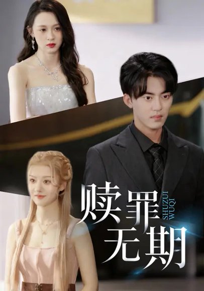 赎罪无期（40集）王嘉嘉&王言睿 高清完整版