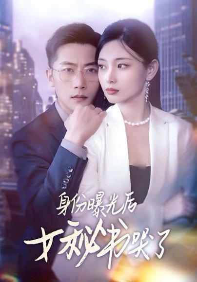 身份曝光后女秘书哭了（31集）刘雪君&张家川 高清完整版